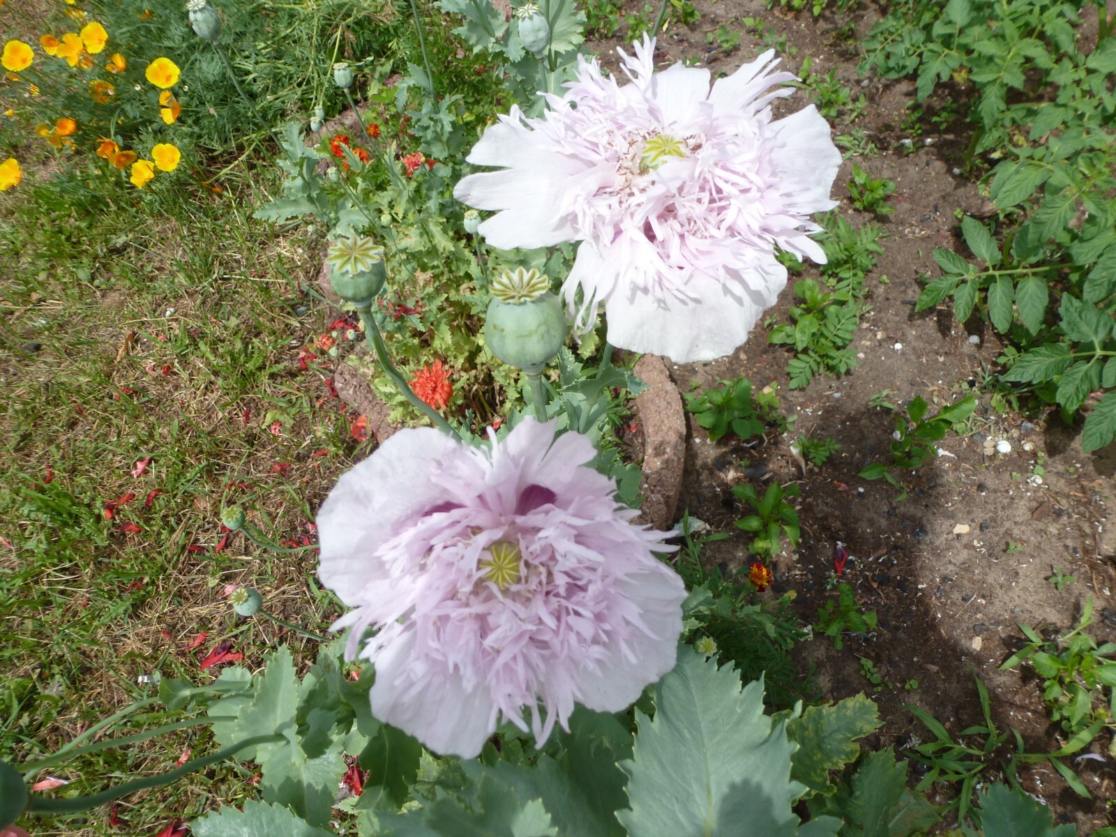 Bild 5 von 9