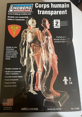 NEW corps humain Transparent  (Model, Level 2) Lindberg Science Kits 