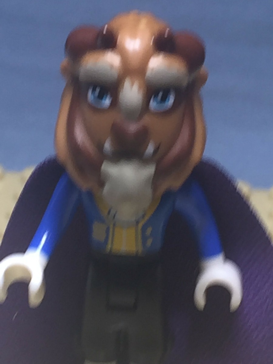 Genuine Lego Beast Prince Adam Minifigure Purple Cape Small Eyes