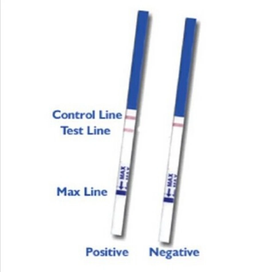 60 Ovulation Fertility Predictor + 20 Early Pregnancy Test Strips Home Private - Image 3 of 4