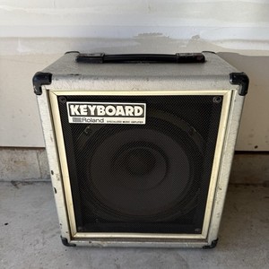 Roland Cube 100 | eBay