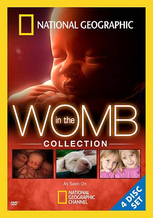 In The Womb Collection (DVD, 2009, 4-Disc Set) - Picture 1 of 1