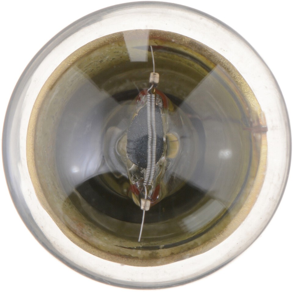 License Plate Light BulbStandard Replacement Multiple Commercial