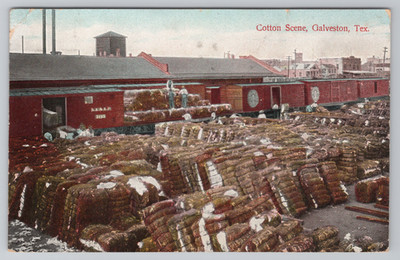 Galveston TX Cotton Scene, San Antonio and Aransas Pass Railway Freight Depot 
