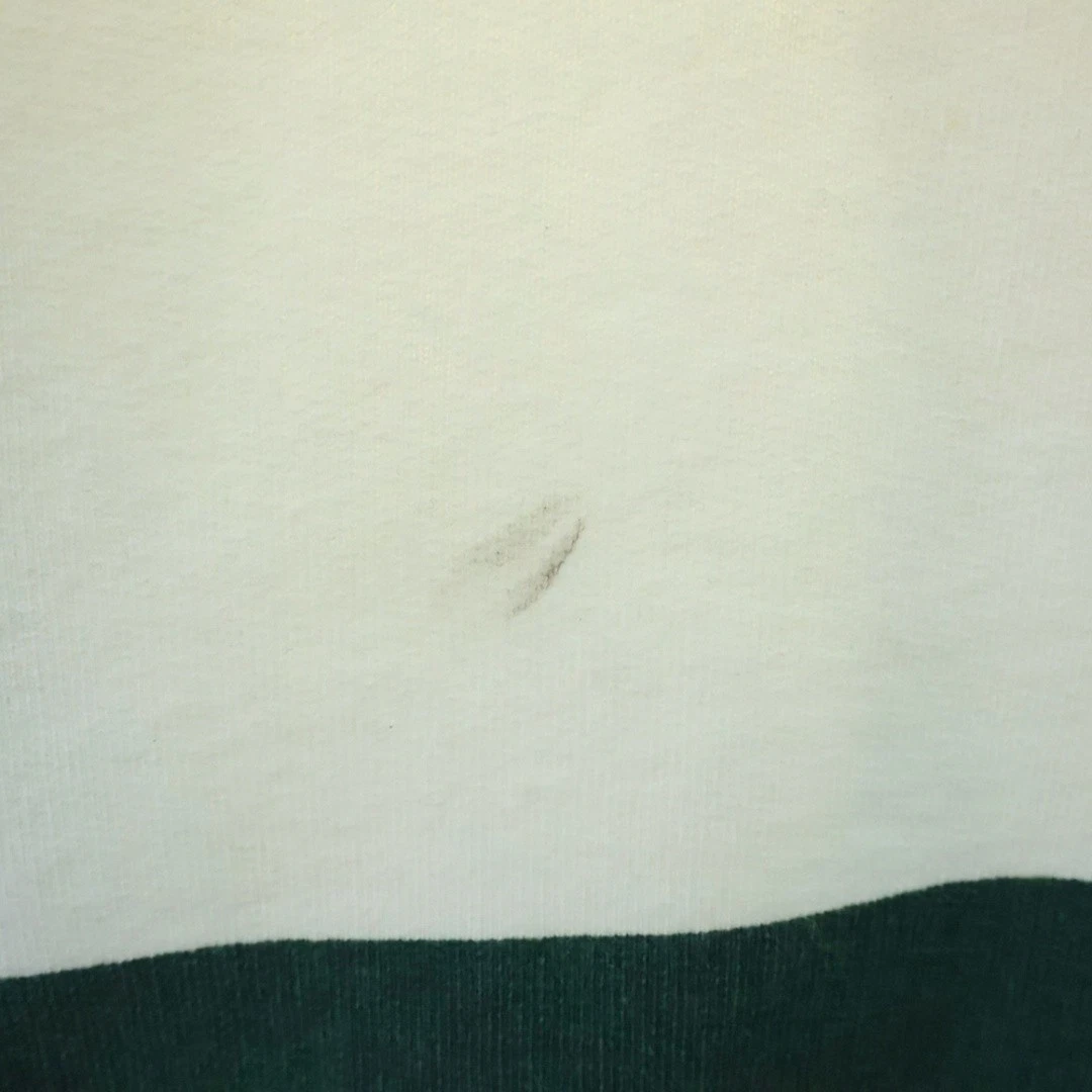 Felpa Gucci Sherry Line Horsebit GG logo placca zip verde bianco usata a3