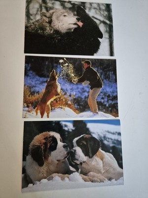 Postkarten Pedigree 3er Set