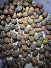 natural rough Uncut China Agate Achat Nodule crystal Specimen cave thunder egg A