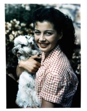 Gail Russell holds a dog publicity portrait film salty O Rourke 1945 Old Photo