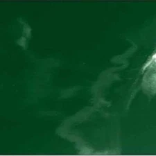 Black Stallion 6X6V1-GRN Saf-Vu 14 Mil Vinyl Replacement Screen Only, 6' X 6', G