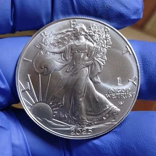U.S. Mint American Eagle Eagle privy 2025  Silver Coin .999 Fine Business Strike