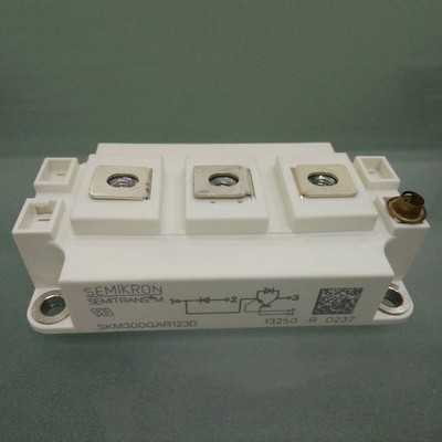 1PCS NEW SKM300GAR123D MODULE #lk