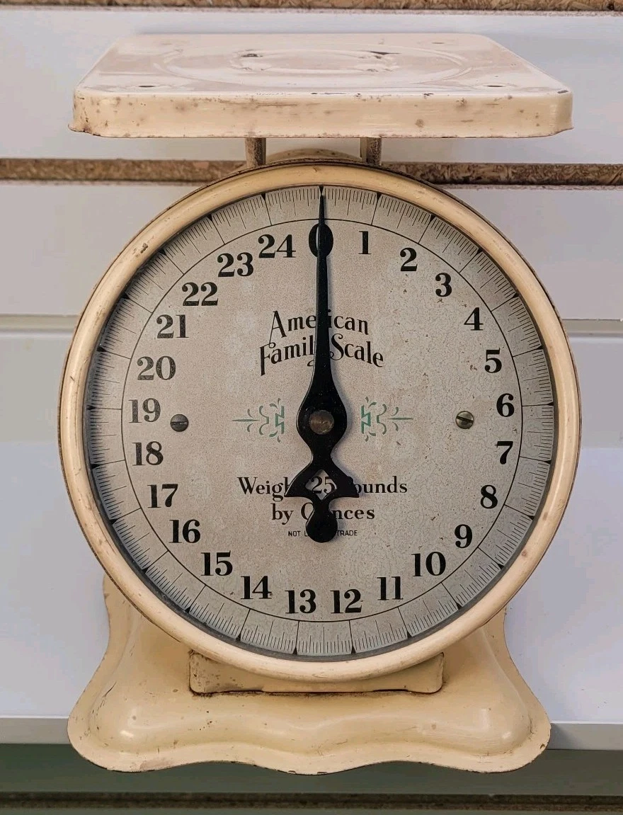 American Family Scale for sale | eBay