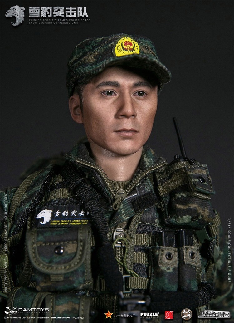 【DAMTOYS】78052 1/6 CHINESE PEOPLE&#39;S ARME 1/6 DamToys DAM 78052 Chinese Armed Force Snow Leopard
