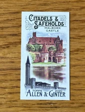 MALBORK CASTLE 2020 Allen & Ginter #MCS-18 Citadels & Safeholds Mini