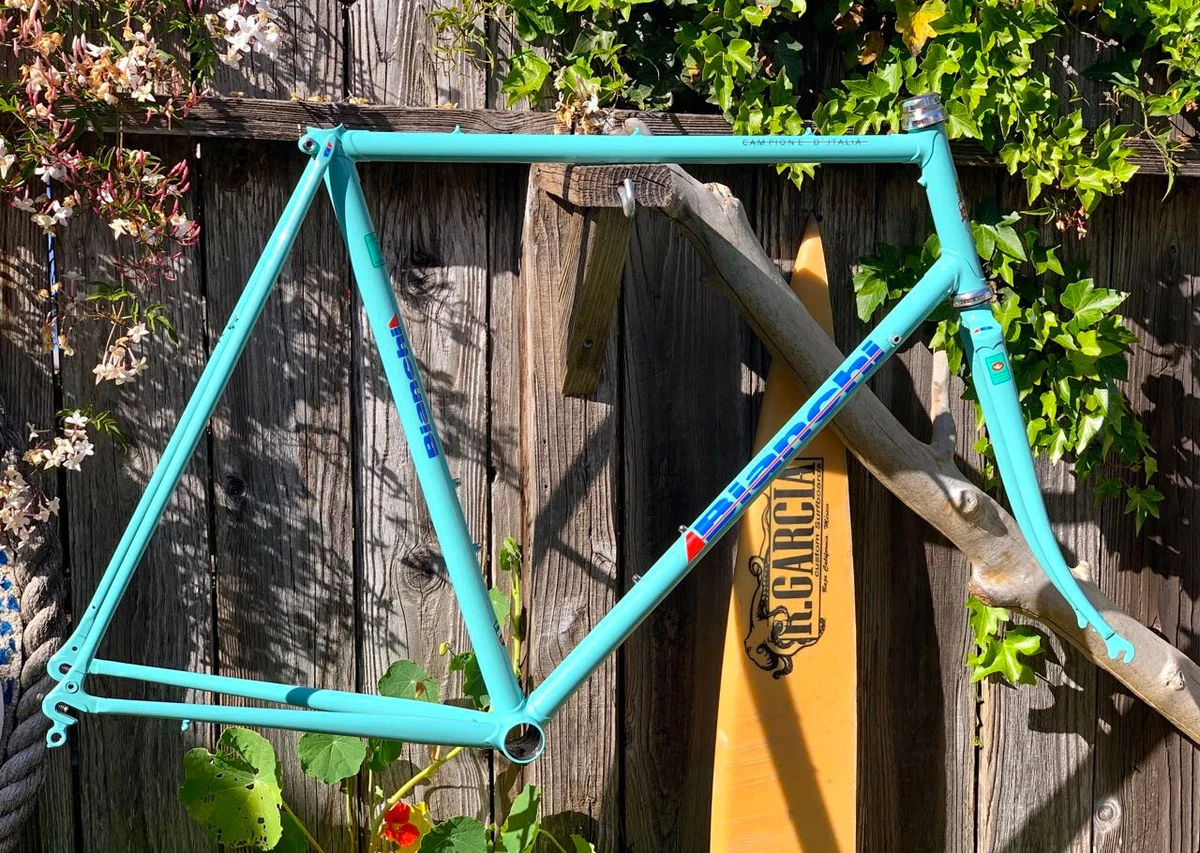 Bianchi 56cm online