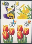 XE59660 Belgium 2000 -2005 flowers nature maxicards used