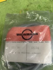 eBay Auction Picture
