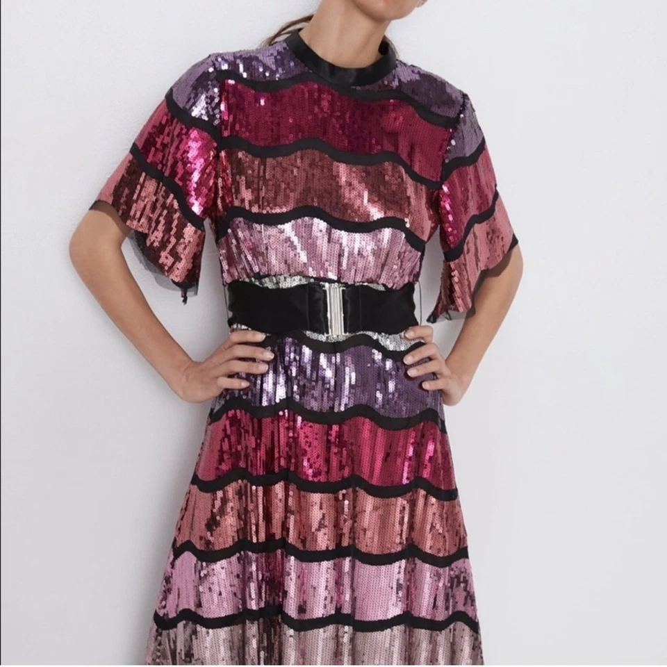 全新带标签 ZARA 限量版罕见亮片条纹腰带迷笛连衣裙 S 码 — 第 2/4 张图片