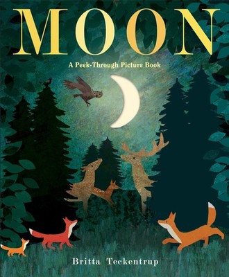 Moon: A Peek-Through Picture Book Teckentrup, Britta hardcover Good