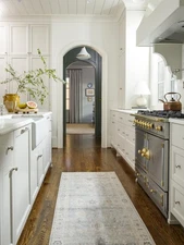 X Becki Owens Marlene Vintage Medallion Runner Area Rug 27 X 73 Pale