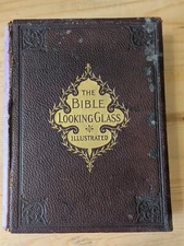 The Bible Looking Glass 1898 Bishop Samuel Fallows, New Edition - Damage Binding