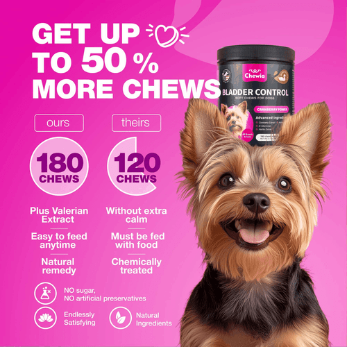 Dog UTI Treatment Dog Cranberry Supplement for Bladder Kidney Health Urinary - Bild 6 von 9