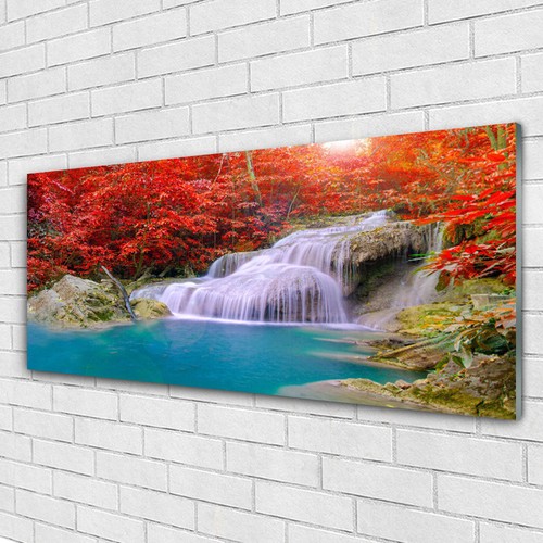 Tulup Image sur verre Tableau Impression 100x50 Cascade Pierres Forêt