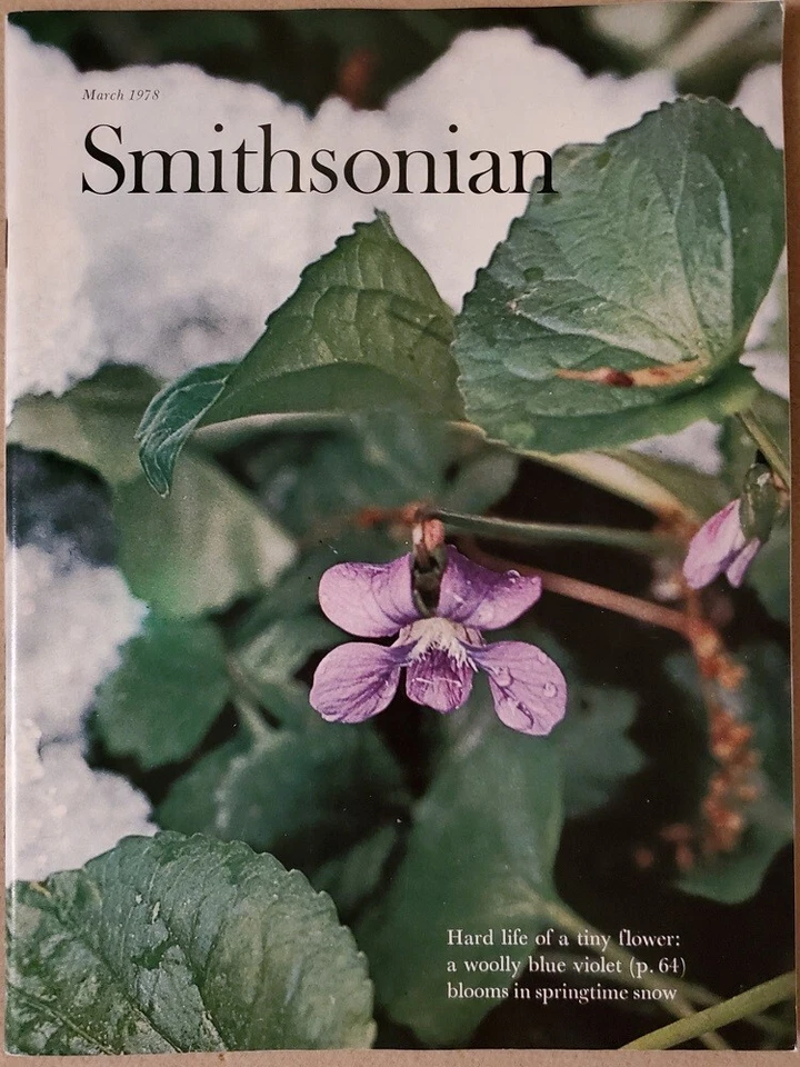 Smithsonian Magazine - Lot of 12, 1978 COMPLETE YEAR Foto 4 de 4