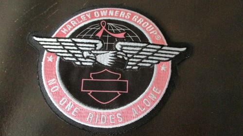 Motorcycle Vest Patches & Pins Ladies HOG Patch Pins  2015 & 2012  (Loc A1) - Picture 1 of 3