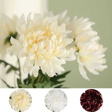 3 Stems 27" Silk Artificial Chrysanthemum Flowers Party Events Home Decorations