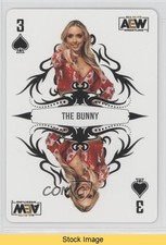 2023 AEW All Elite Wrestling Double or Nothing Playing Cards The Bunny READ 02ri