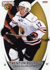 Trenton Bourque 2018-19 Owen Sound Attack