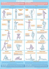 Stretching Exercises Poster | Warm Up Cool Down Chart | Fitness Training Poster