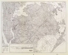 20" x 24" Map of Rand McNally Queens