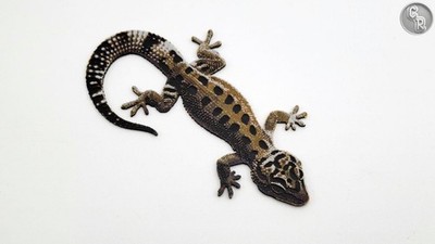Leopard Gecko Magnet for Locker or Whiteboard - 3D Printed Lizard Reptile