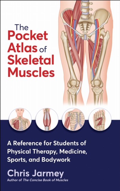The Pocket Atlas of Skeletal Muscles by Chris Jarmey (Paperback Book)