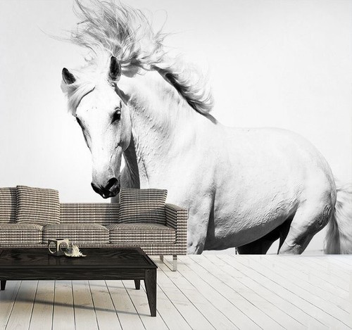 White Horse photo wallpaper 144x100 inch girl bedroom cute animal mustang - Picture 8 of 8