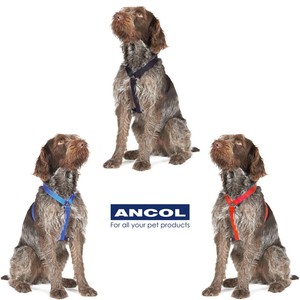 ancol puppy harness