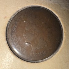  on The Hot Collector