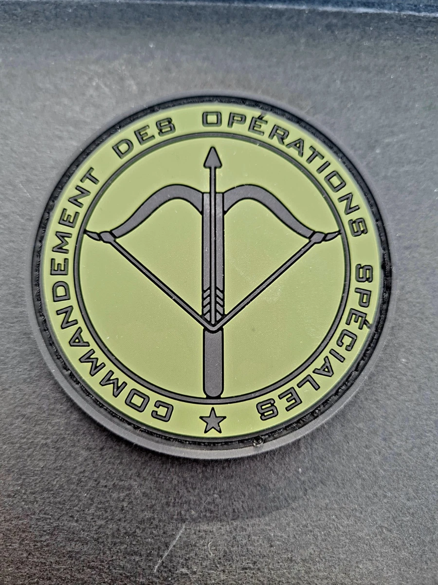 INSIGNE MILITAIRE LIBAN Commando Ranger Forces Speciales Comando EUR 55,00 - FR