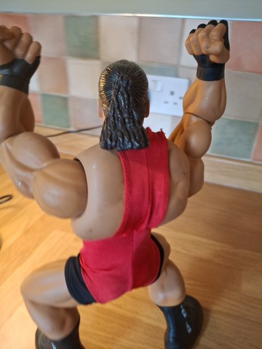 JAKKS WWE RING GIANTS ROB VAN DAM 14" AZIONE POSABILE sciolto 2006 - Foto 14 di 24