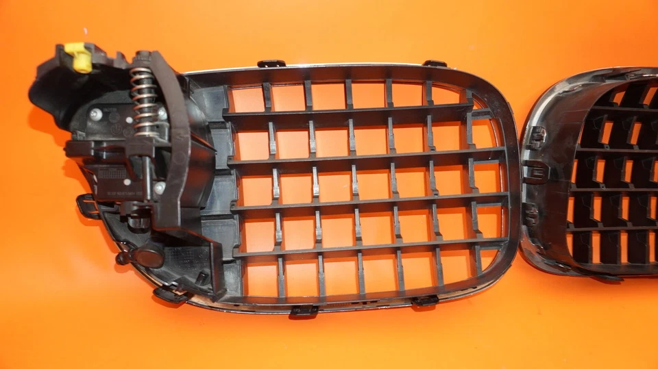 BMW 750 PARRILLA IZQUIERDA DERECHA 2009 2010 2011 2012 2013 RADAR F01 51117203198 OEM Foto 4 de 4