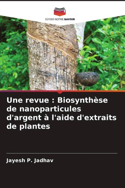 Jayesh P. Jadhav | Une Revue : BiosynthèSe De Nanoparticules D'argent à...-image