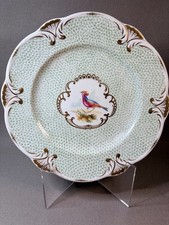Rockingham Cabinet Plate,Shell Moulding,BlackBerry Border - Exotic Birds c1830