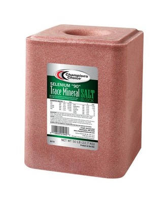 Champion's Choice Selenium ''90'' Salt Block For Cattle 50 lb