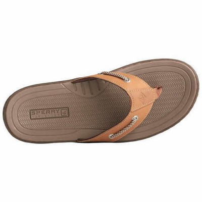 sperry men's pensacola thong sandals