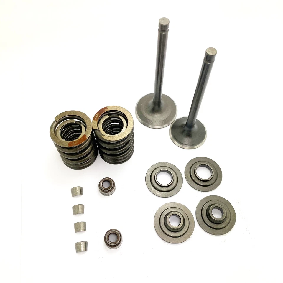 Kit completo de válvulas para Yamaha SR250 TT250 XT250 BW350 MOTO-4 Big Bear YFM350 Foto 4 de 4