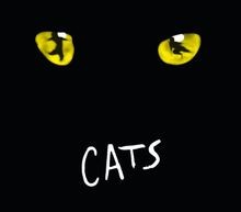 Cats von Andrew Lloyd Webber | CD | Zustand gut