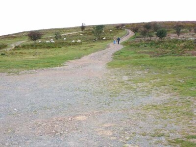 Photo 6x4 Quantocks tracks Crowcombe Tracks criss-cross the summit ridge  c2011