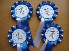 Pony Party Rosettes personalised for little girls or Boys(Name & Age) X 4 (2025)